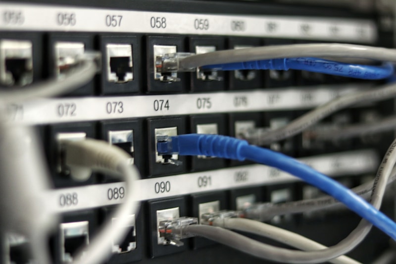 Network cables closeup